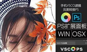 【百度云】VSCO全滤镜转PS插件一键调色完美模拟182款预设