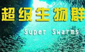 【百度云】BBC纪录片之《超级生物群》1-2集英语中文字幕高清合集