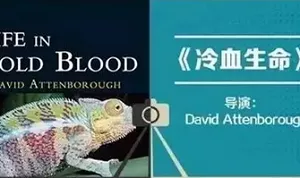 【百度云】BBC《冷血生命》纪录片1-5集英语中文字幕打包合集