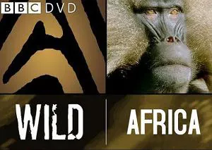 【百度云】BBC纪录片之《野性非洲》1-6集英语中文字幕合集