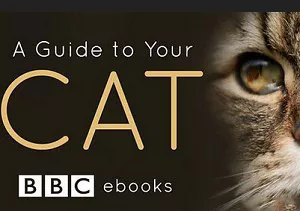 【百度云】BBC纪录片之《猫咪观察》1-3集英语中文字幕高清合集