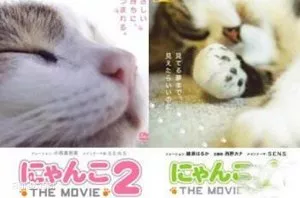 【百度云】日本高评分纪录片《猫咪物语》1-5部日语外挂中字幕高清合集