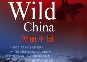 【百度云】CCTV/BBC纪录片《美丽中国》1-6集超清英语外挂中文字幕