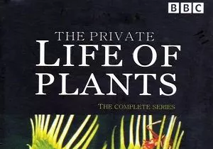 【百度云】BBC纪录片之《植物私生活》1-6集英语中文字幕高清合集