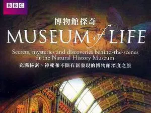 【百度云】BBC纪录片之《生命博物馆》1-6集英语中文字幕超清合集