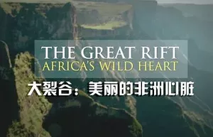 【百度云】BBC《大裂谷:美丽的非洲心脏》纪录片3集中文字幕合集