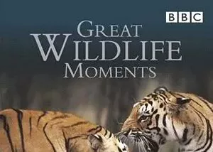 【百度云】BBC纪录片之《野生动物奇观》1-2集英语中文字幕