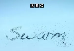 【百度云】BBC纪录片之《大自然不可思议的入侵》1-2集高清英语中文字幕