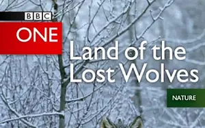【百度云】BBC《狼群失落之地》纪录片2集英语中文字幕超清合集