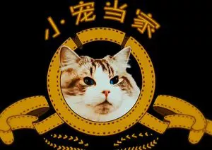【百度云】CCTV-9纪录片《小宠当家》1-5集国语中文字幕高清合集