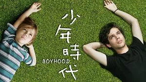 【百度云】《少年时代》(Boyhood)高清英语中文字幕