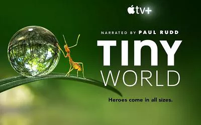 【百度云】大自然科普纪录片《小小世界(Tiny World)》第一季高清合集