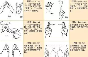 【百度云】通用标准规范手语培训-44个教程视频合集