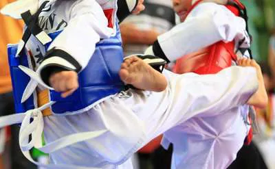 【百度云】跆拳道(Taekwondo)教学课程视频合集
