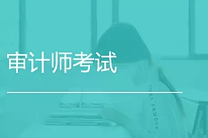 【百度云】《审计师考试教学培训视频资料》课程视频合集