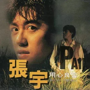 张宇专辑(1993-2022)所有精选歌曲合集-16张专辑-无损音乐打包