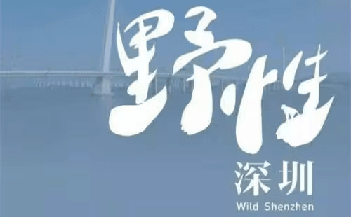 央视纪录片【野性深圳】全5集-国语中字-【720P】